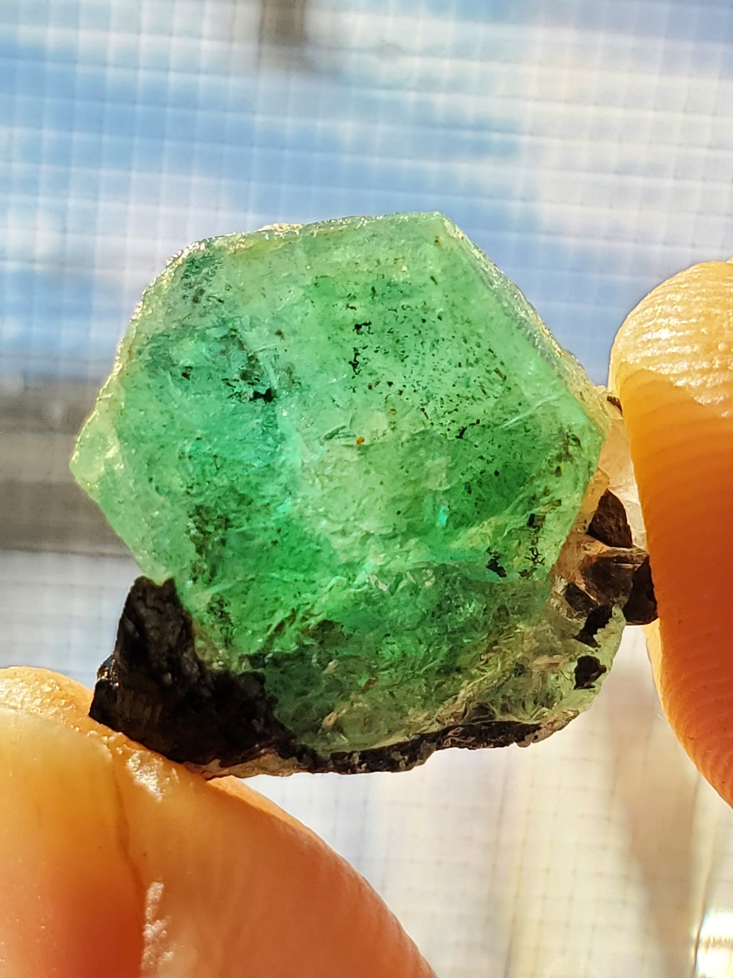 Terminated Tabular Untreated Emerald w/ Black Schorl Tourmaline, Kagem Mine, Zambia