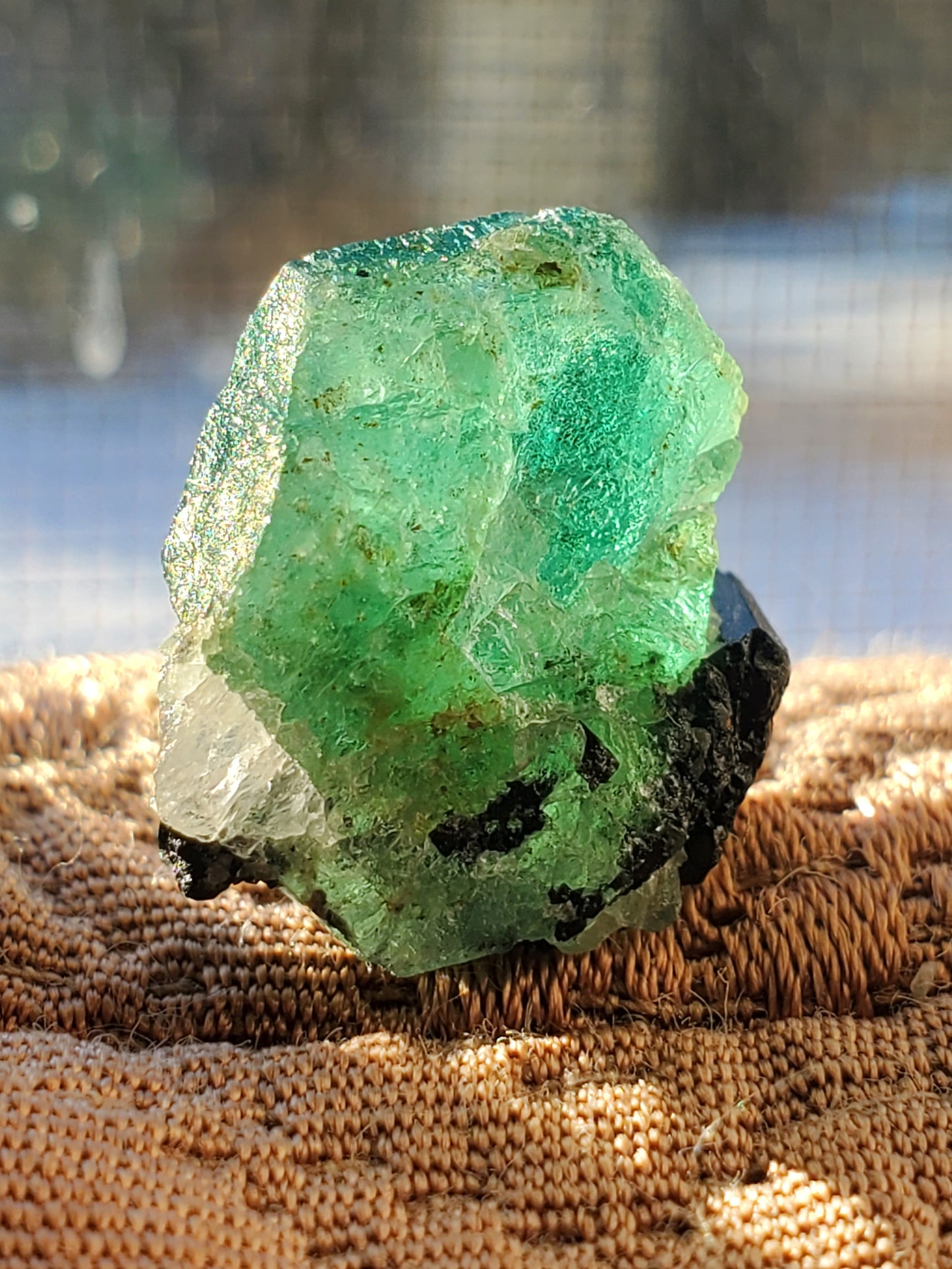 Terminated Tabular Untreated Emerald w/ Black Schorl Tourmaline, Kagem Mine, Zambia