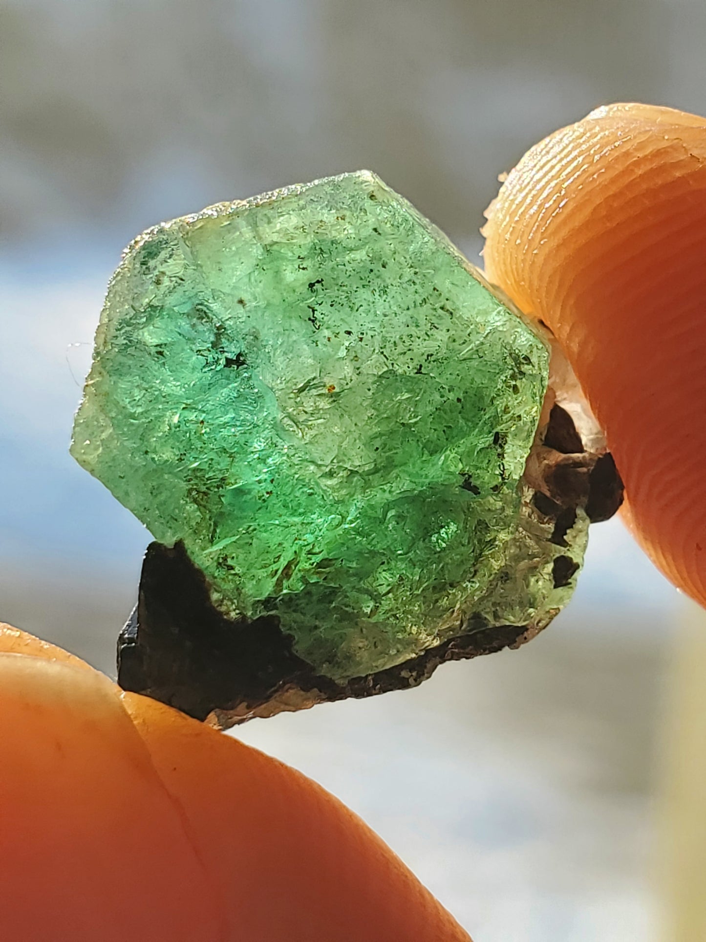 Terminated Tabular Untreated Emerald w/ Black Schorl Tourmaline, Kagem Mine, Zambia