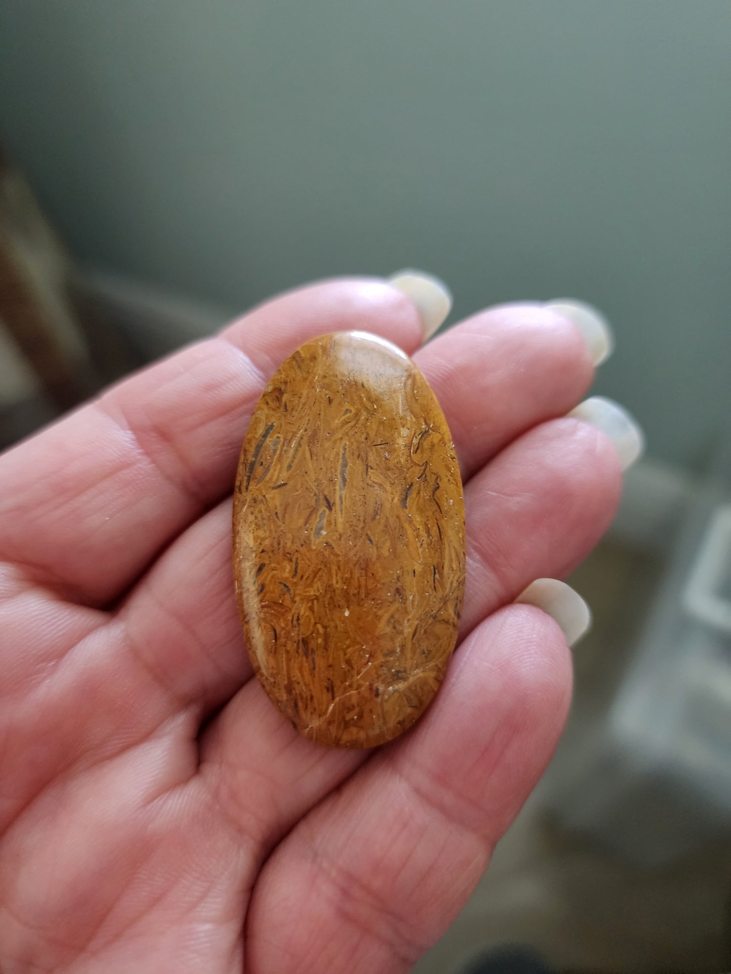 Cabochon Mix, Miriam Jasper, Flower Coral, Dendrite Opal, Faceted Onyx