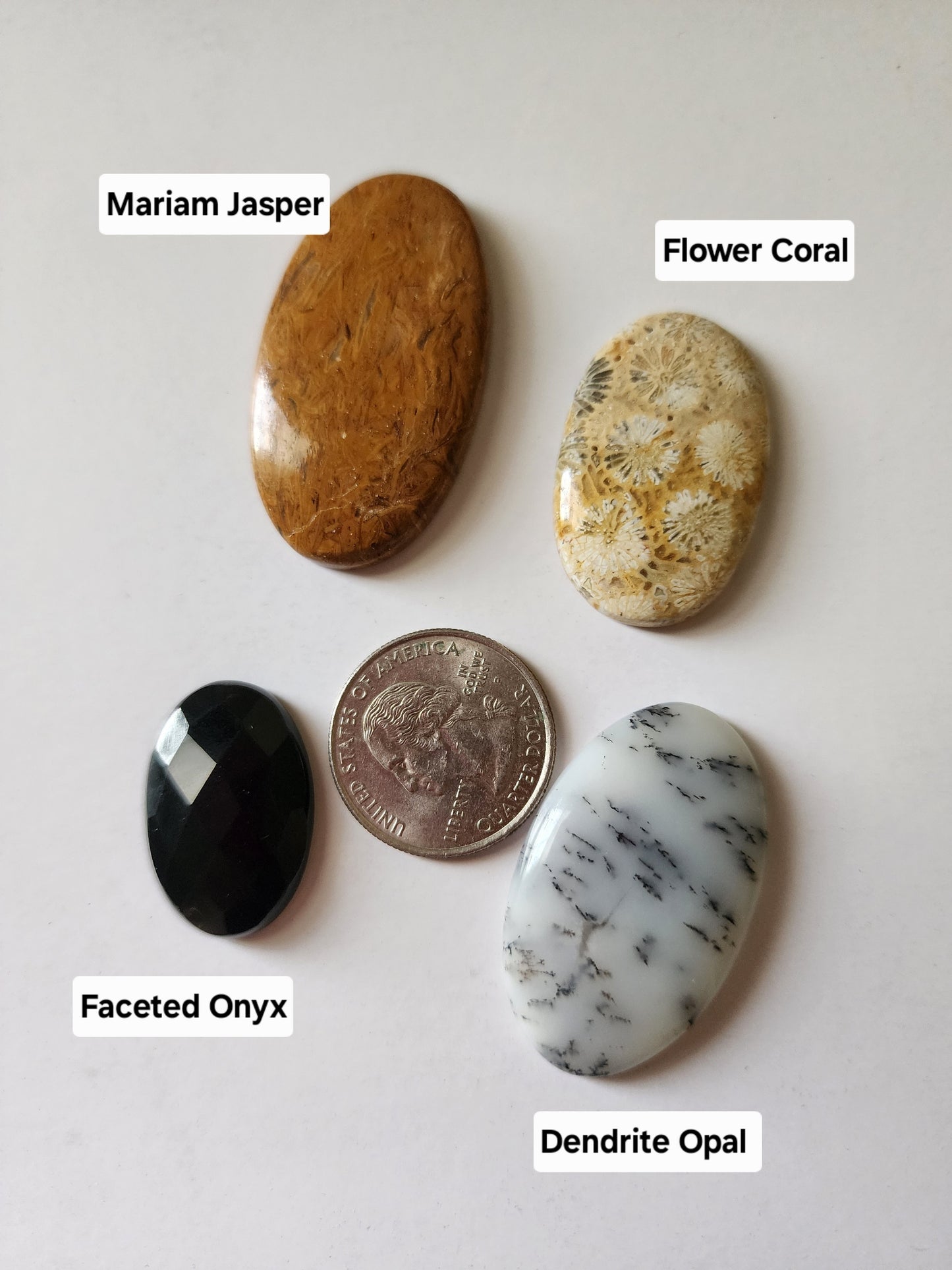 Cabochon Mix, Miriam Jasper, Flower Coral, Dendrite Opal, Faceted Onyx