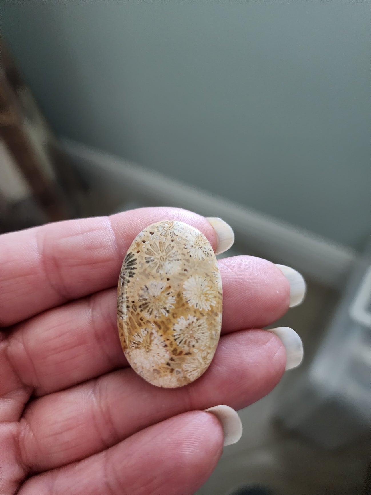 Cabochon Mix, Miriam Jasper, Flower Coral, Dendrite Opal, Faceted Onyx