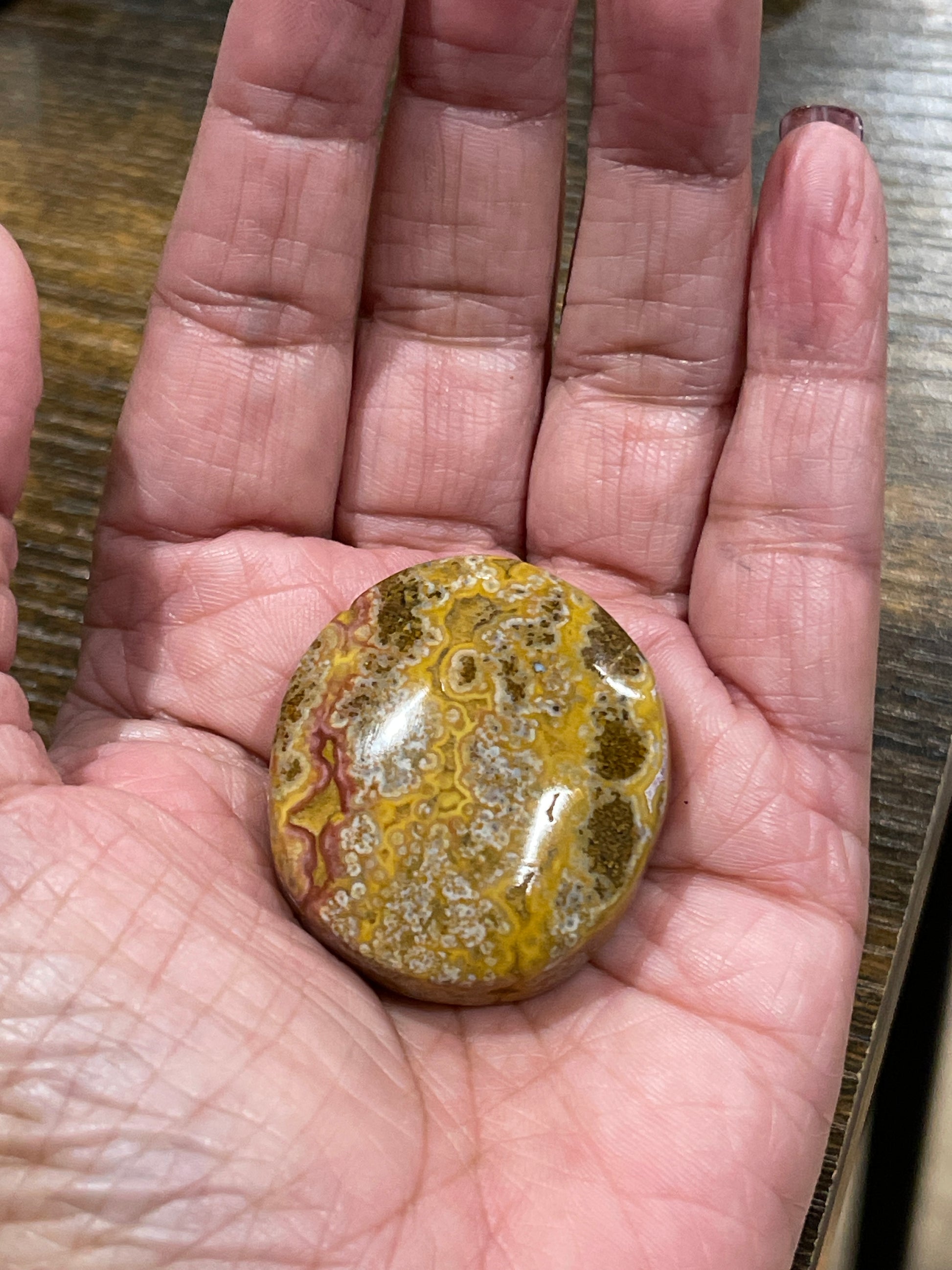 Sea Jasper Palm Stone