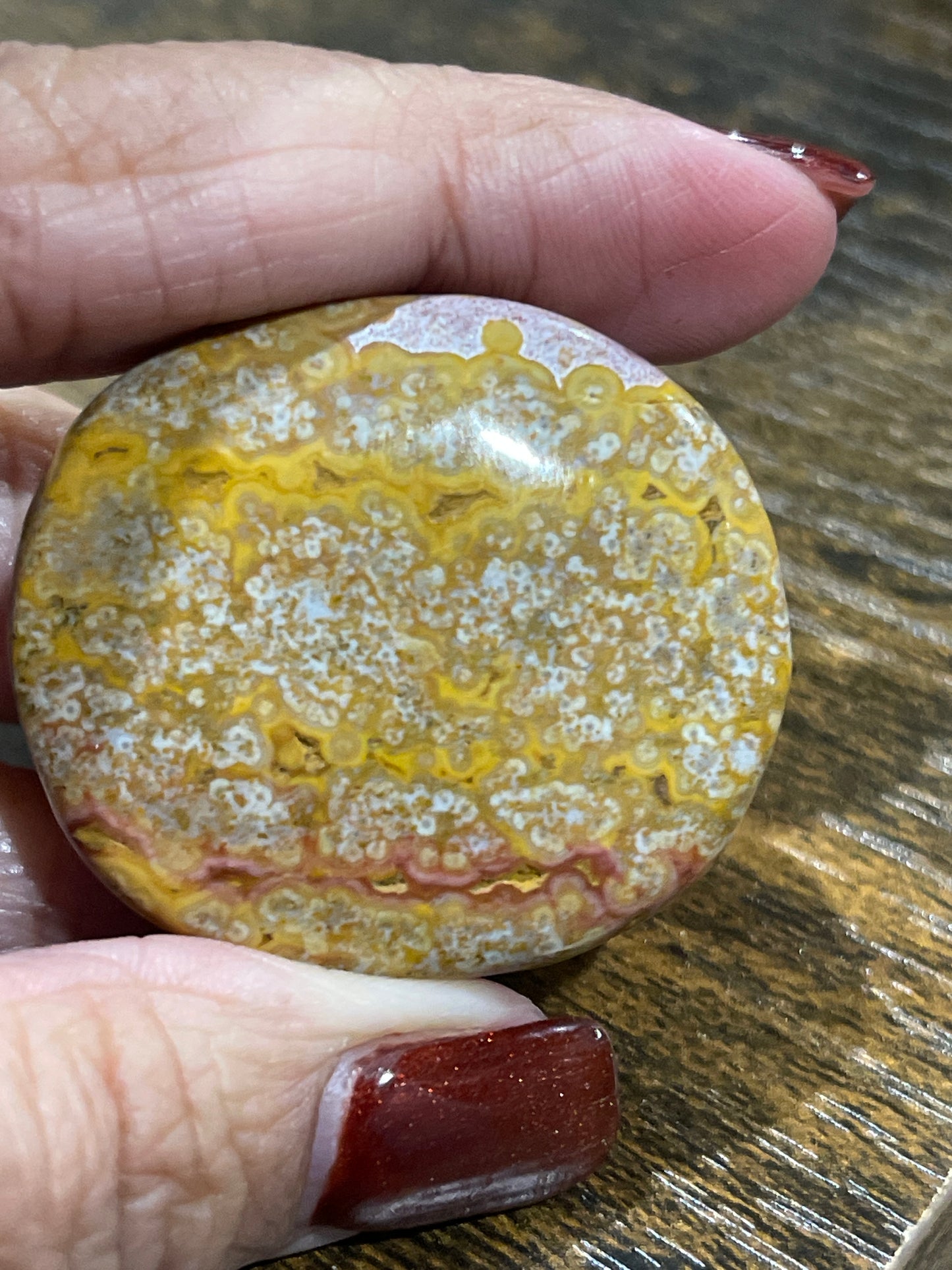 Sea Jasper Palm Stone