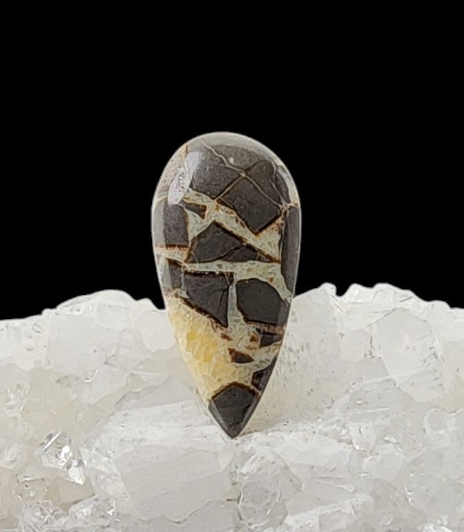 Septarian Cabochon