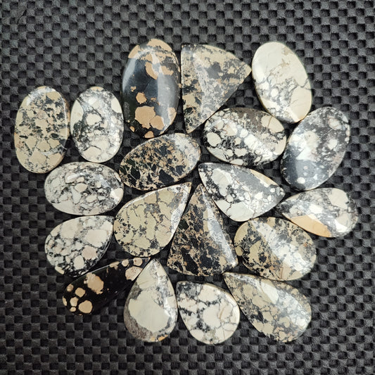 Appaloosa Cabochon lot of 20